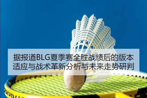 据报道BLG夏季赛全胜战绩后的版本适应与战术革新分析与未来走势研判