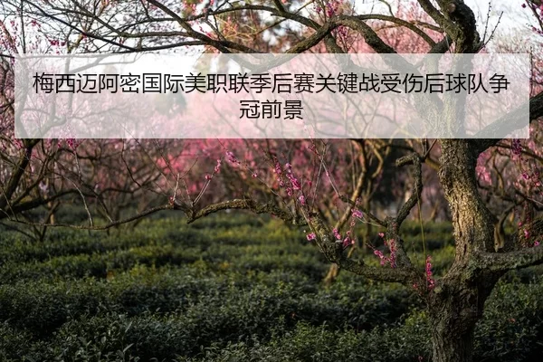 梅西迈阿密国际美职联季后赛关键战受伤后球队争冠前景
