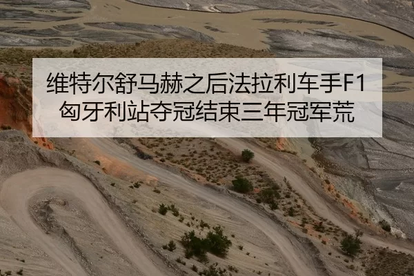 维特尔舒马赫之后法拉利车手F1匈牙利站夺冠结束三年冠军荒